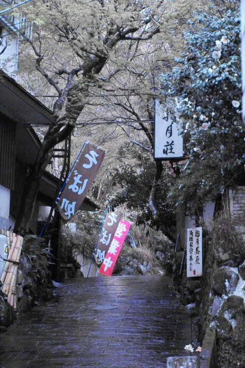 c0181648_2561354.jpg