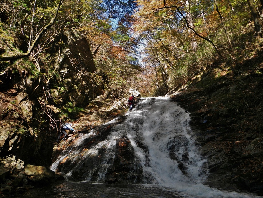 a0286351_12445236.jpg