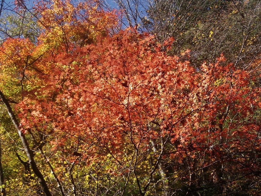 a0286351_12505832.jpg