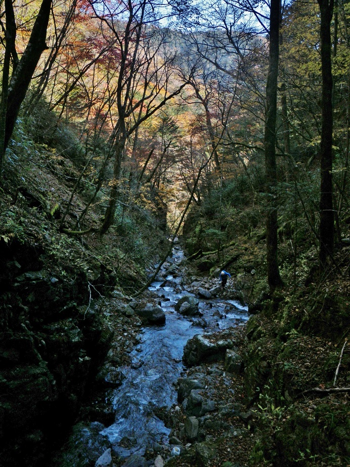 a0286351_12512623.jpg