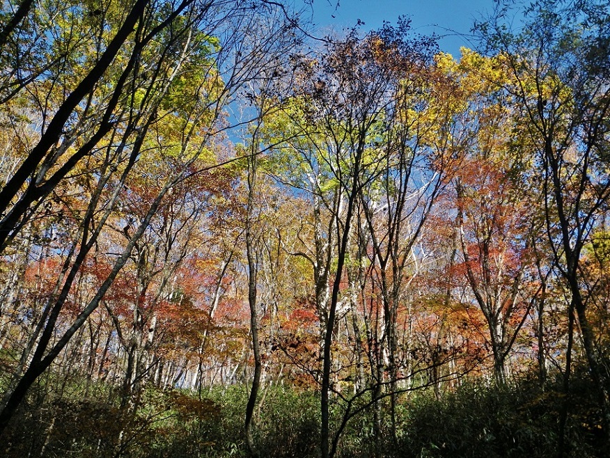 a0286351_12523026.jpg