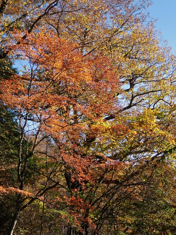a0286351_12543044.jpg