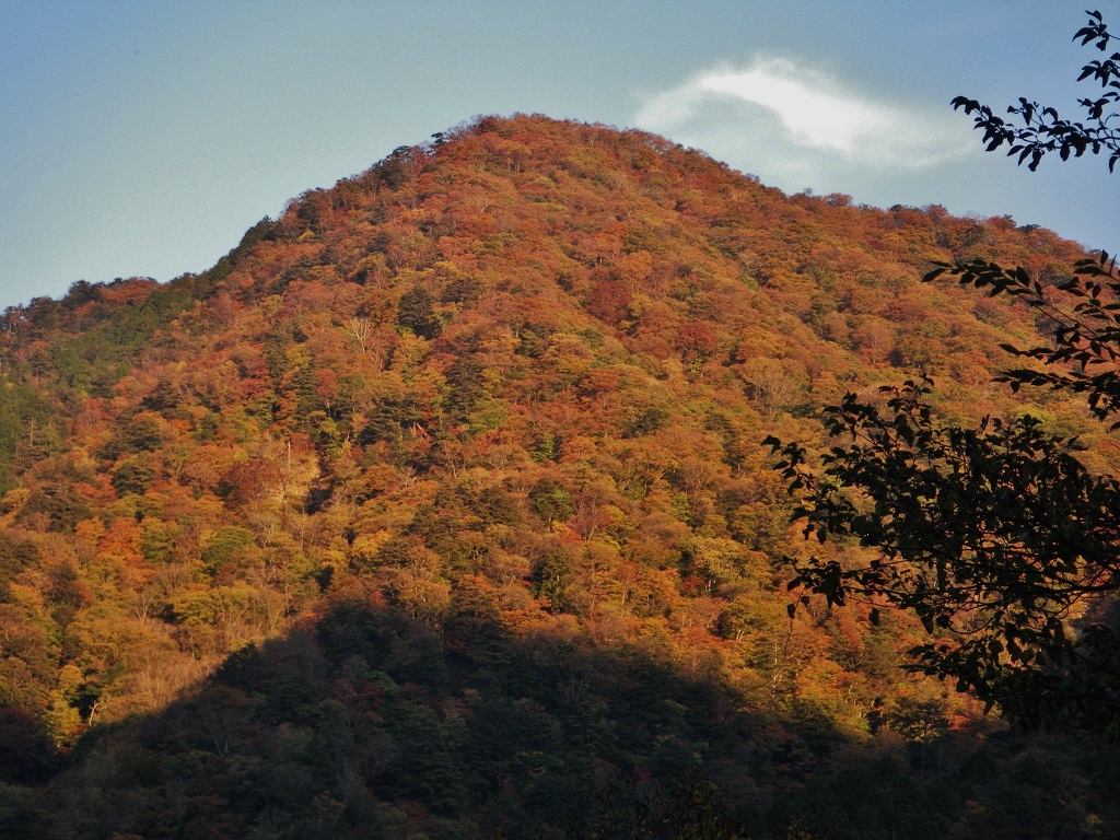 a0286351_12551347.jpg