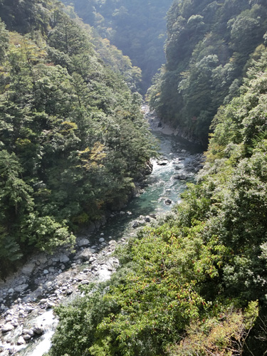 f0007956_19483393.jpg