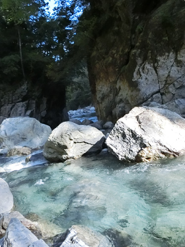 f0007956_21395546.jpg