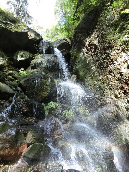 f0007956_22042000.jpg