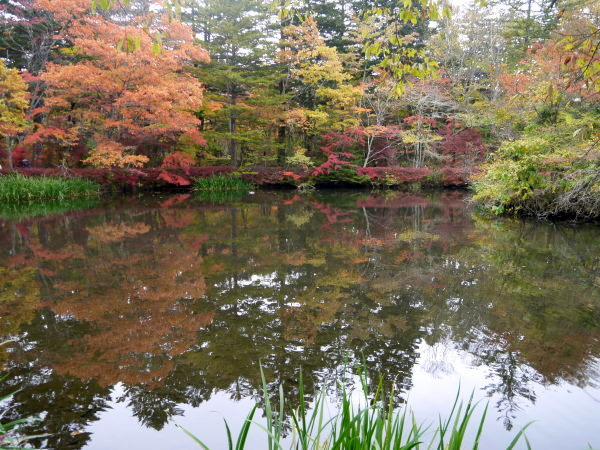 b0282061_20121177.jpg