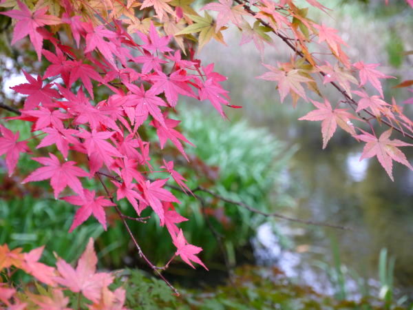 b0282061_20121838.jpg