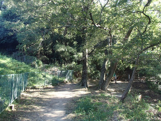 b0044663_15411487.jpg