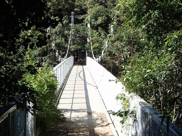 b0044663_1546139.jpg