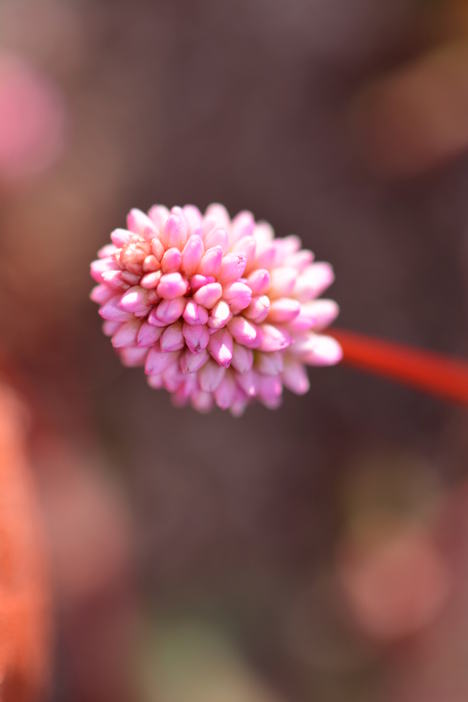 b0267163_18293479.jpg