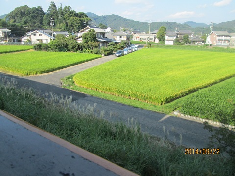 d0029363_23214576.jpg