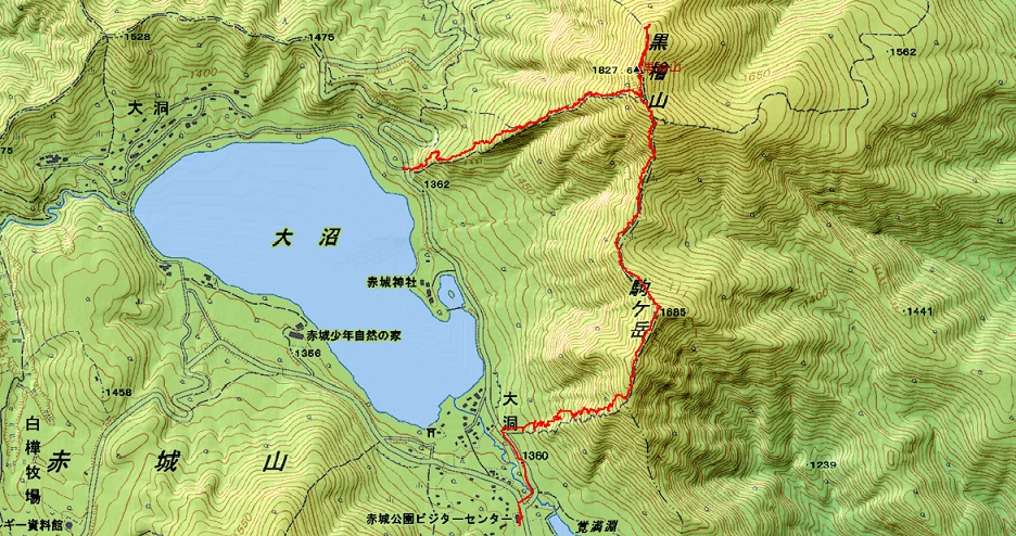 f0016066_1165752.jpg