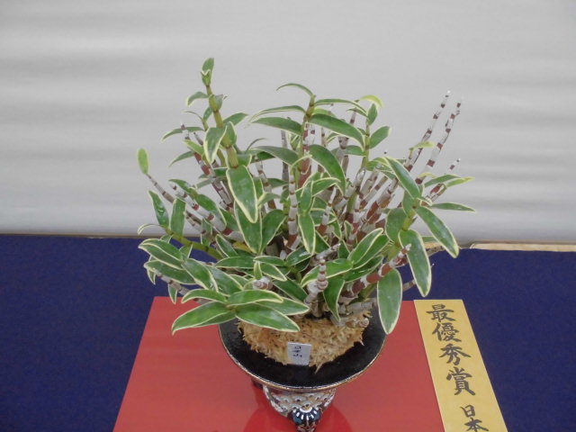f0318967_19074749.jpg