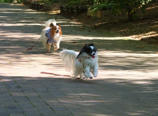 c0078075_1555750.jpg