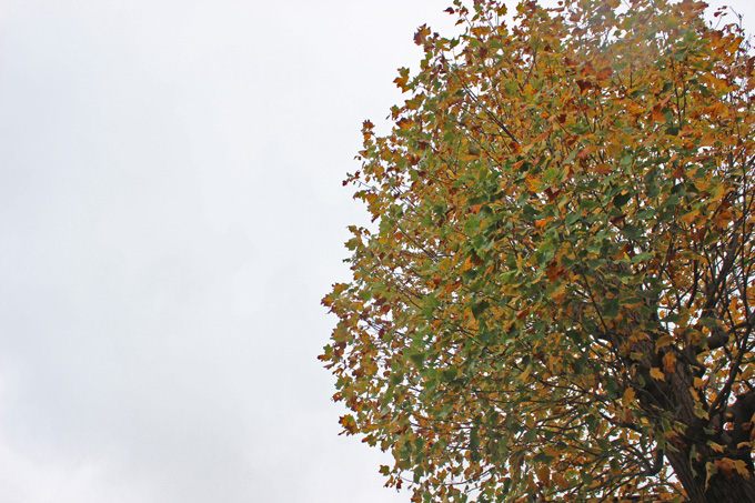 e0112077_23423034.jpg