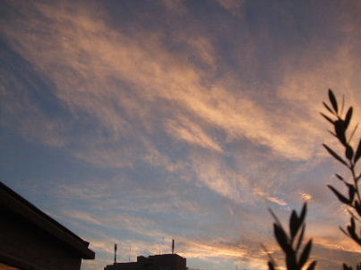 f0039281_1456434.jpg