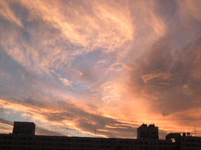 f0039281_1458742.jpg