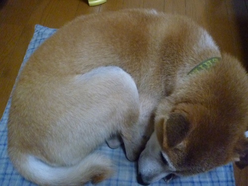 c0123890_2022973.jpg