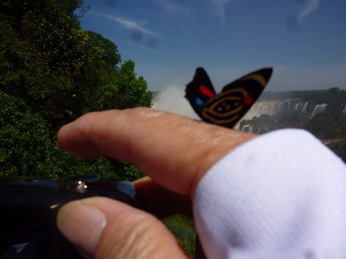 c0123890_7243328.jpg