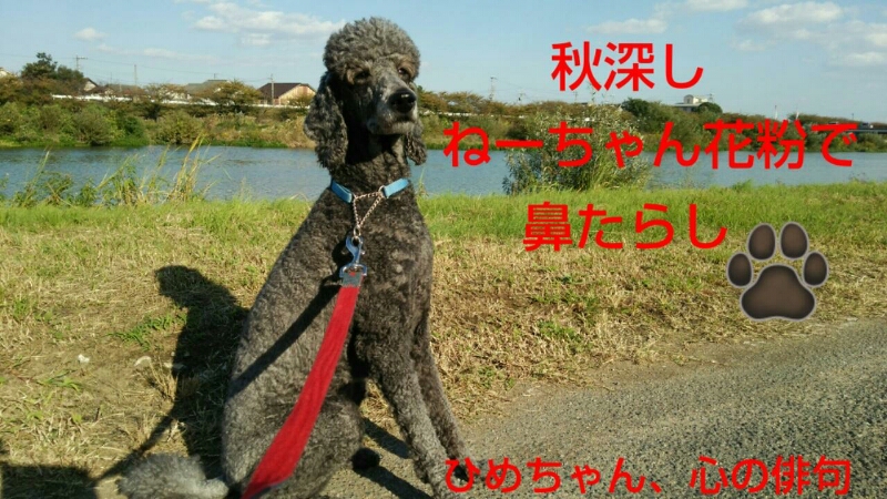 c0109891_13495975.jpg