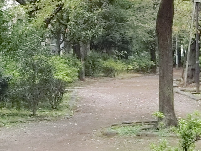 a0319693_8443150.jpg