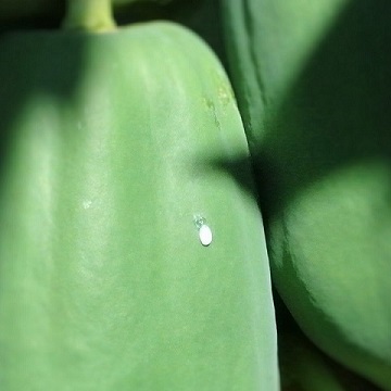 d0229095_14505360.jpg
