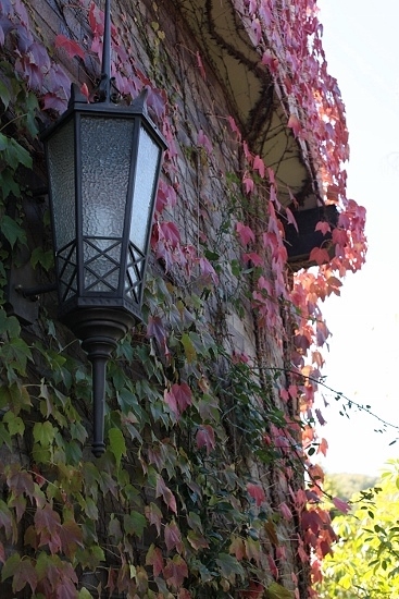 e0209997_12543078.jpg