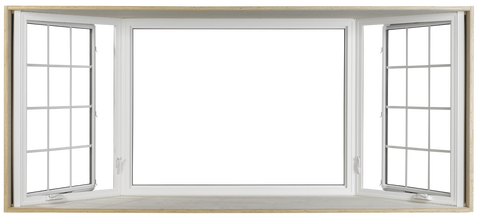 c0072801_465840.png