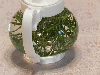 c0152002_18090839.jpg