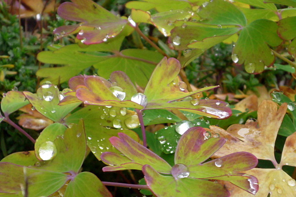 a0214206_00471544.jpg