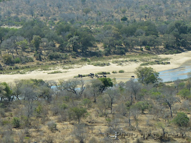e0183106_2214968.jpg