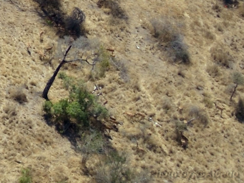 e0183106_22244631.jpg
