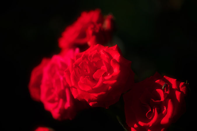 a0263109_12223973.jpg