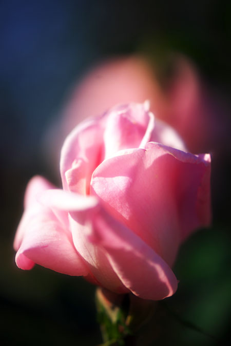 a0263109_12263251.jpg