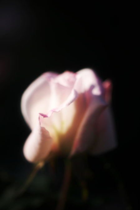 a0263109_12275912.jpg