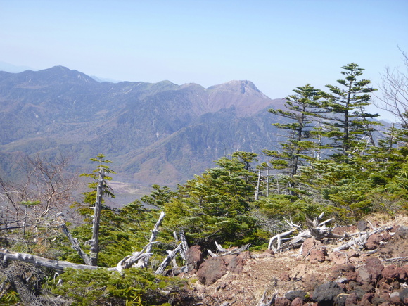 d0170615_10514132.jpg
