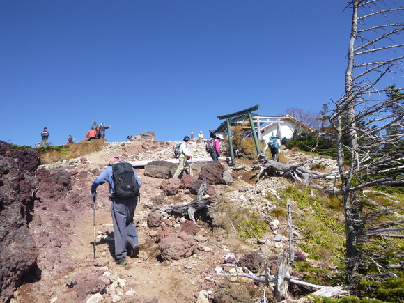 d0170615_105278.jpg