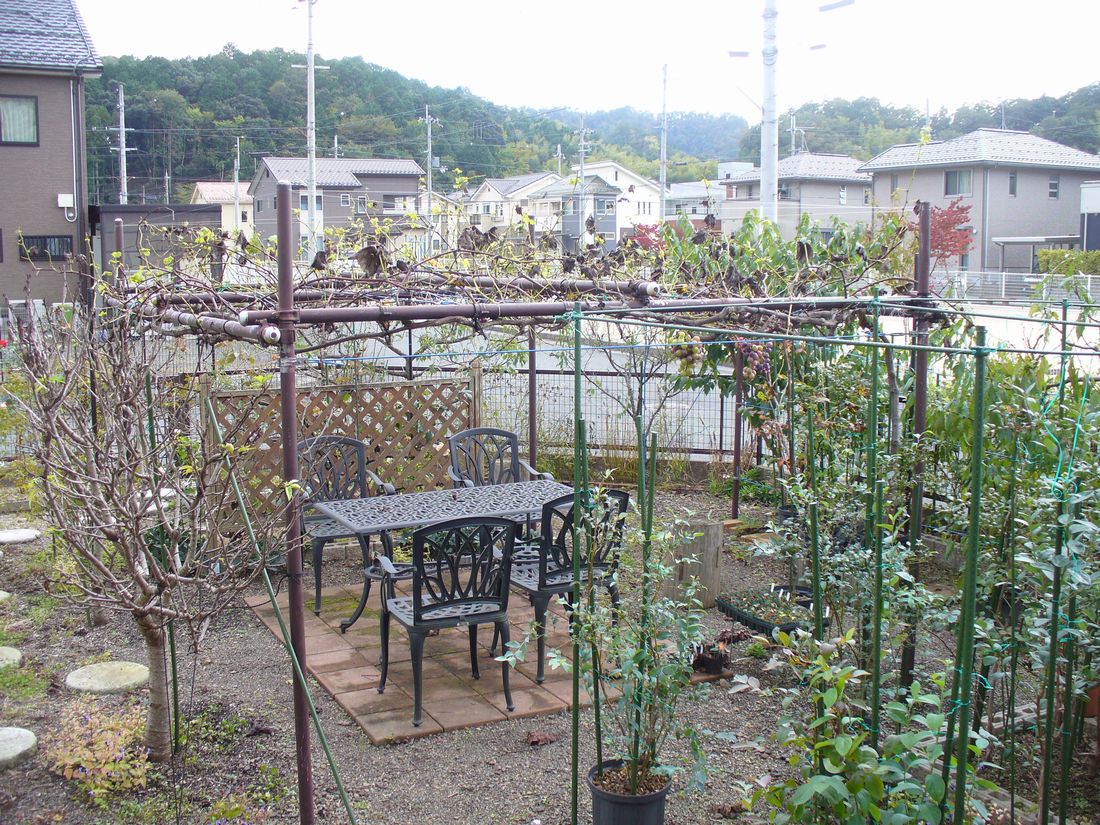 f0346527_22291357.jpg