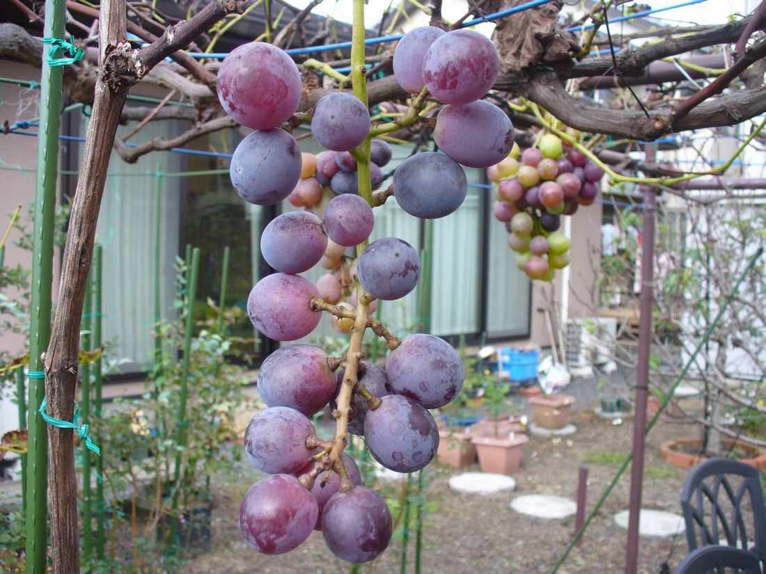 f0346527_2231715.jpg