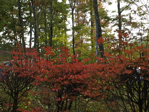 a0267332_22411194.jpg