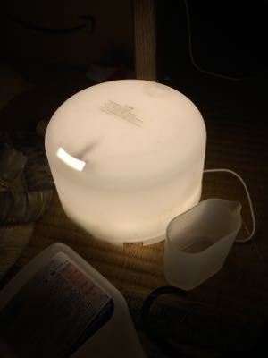 c0343734_3413545.jpg
