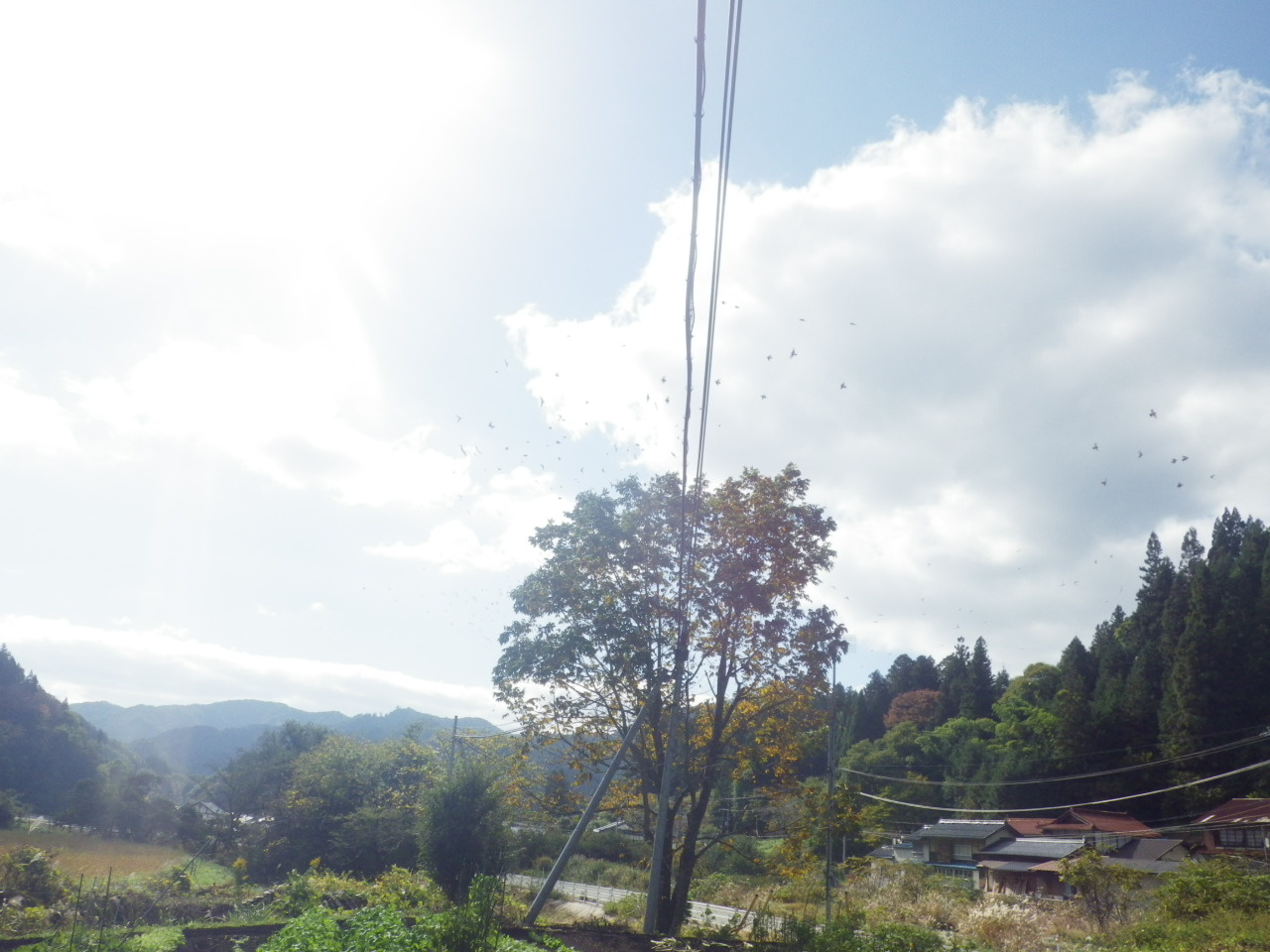c0300035_1413489.jpg