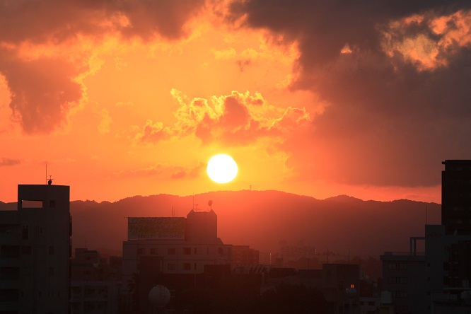 b0184636_138118.jpg