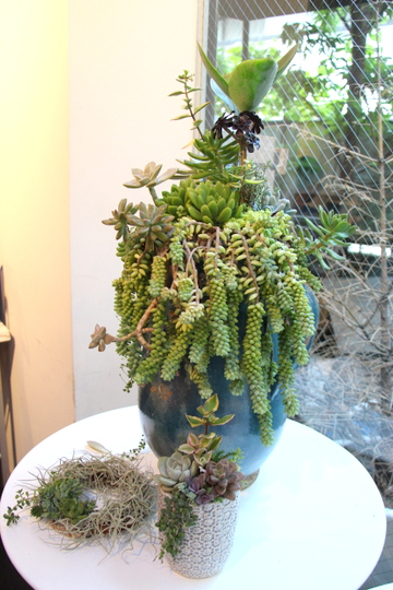 e0234741_20201513.jpg