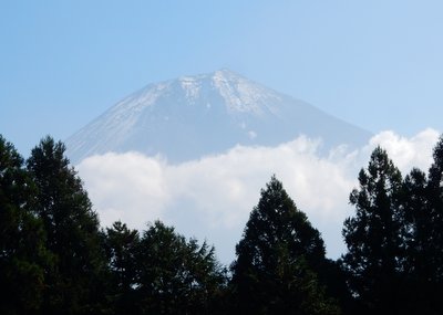 a0142343_1121723.jpg