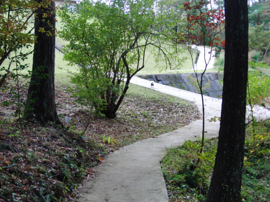 b0254548_21511876.jpg
