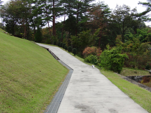 b0254548_21524311.jpg