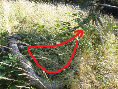 c0179351_18441016.jpg