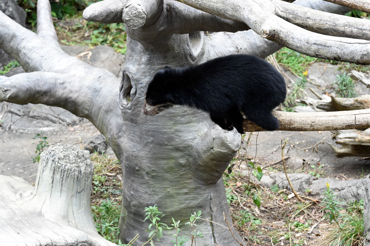 b0023856_715340.jpg